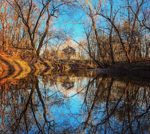 Meet your Posher, Stella